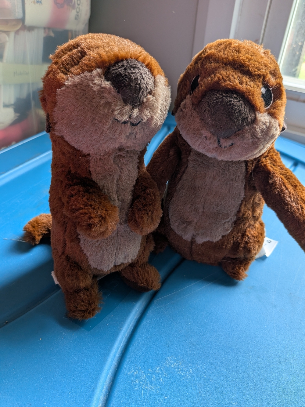 Disney Kissing Otters